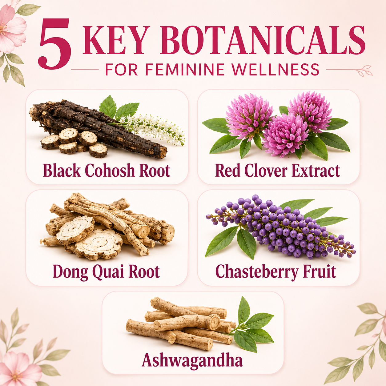 Femme Herbal Menopause Support Patch for Women – 10 Botanicals, Hormone-Free, 30-Day Supply